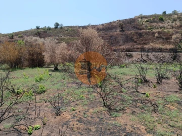 Terreno para Venda em Azinhal