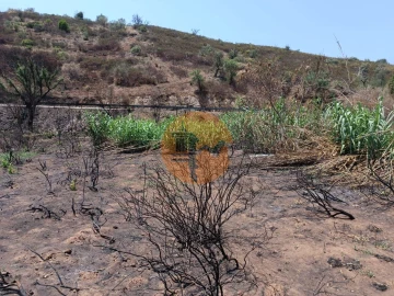 Terreno para Venda em Azinhal