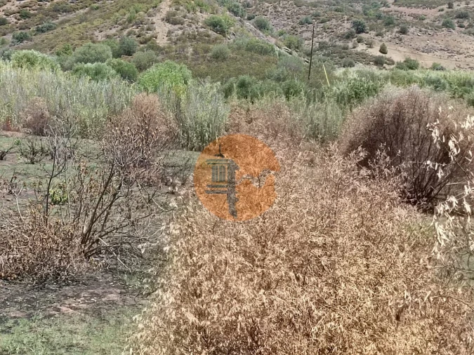 Terreno para Venda em Azinhal Foto 7