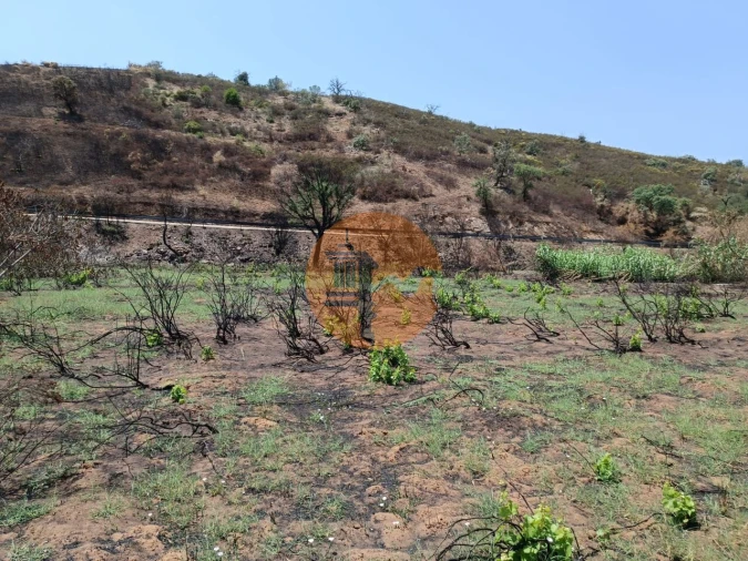 Terreno para Venda em Azinhal Foto 18