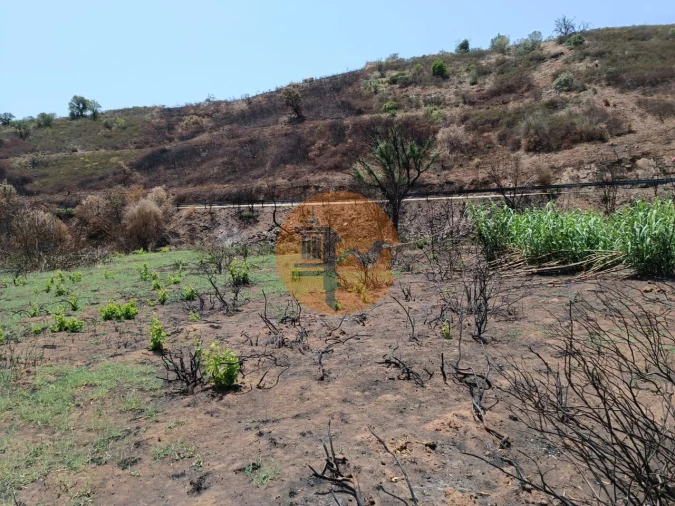 Terreno para Venda em Azinhal Foto 21