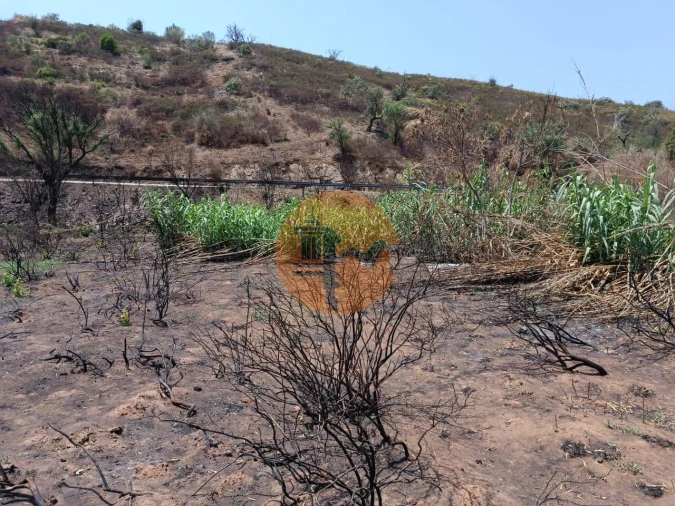 Terreno para Venda em Azinhal Foto 23