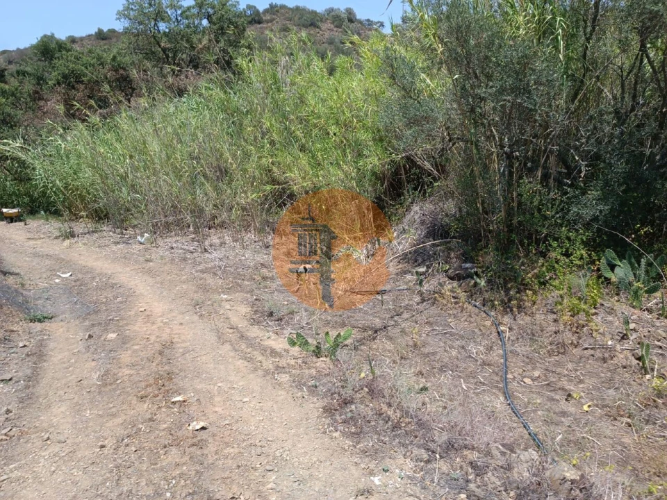 Terreno para Venda em Azinhal Foto 9