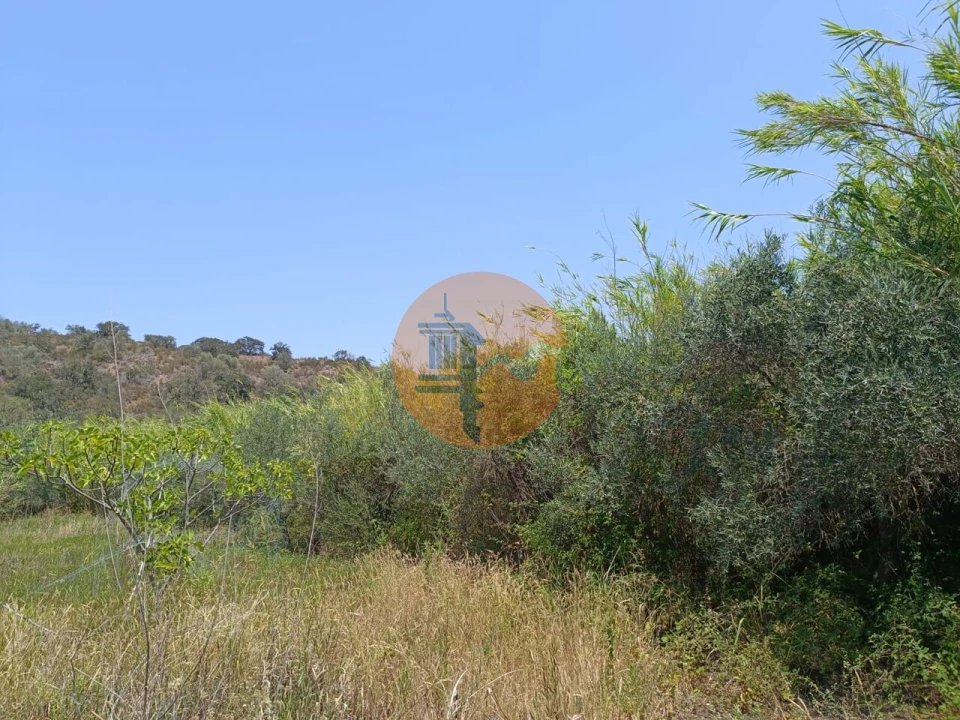 Terreno para Venda em Azinhal Foto 15