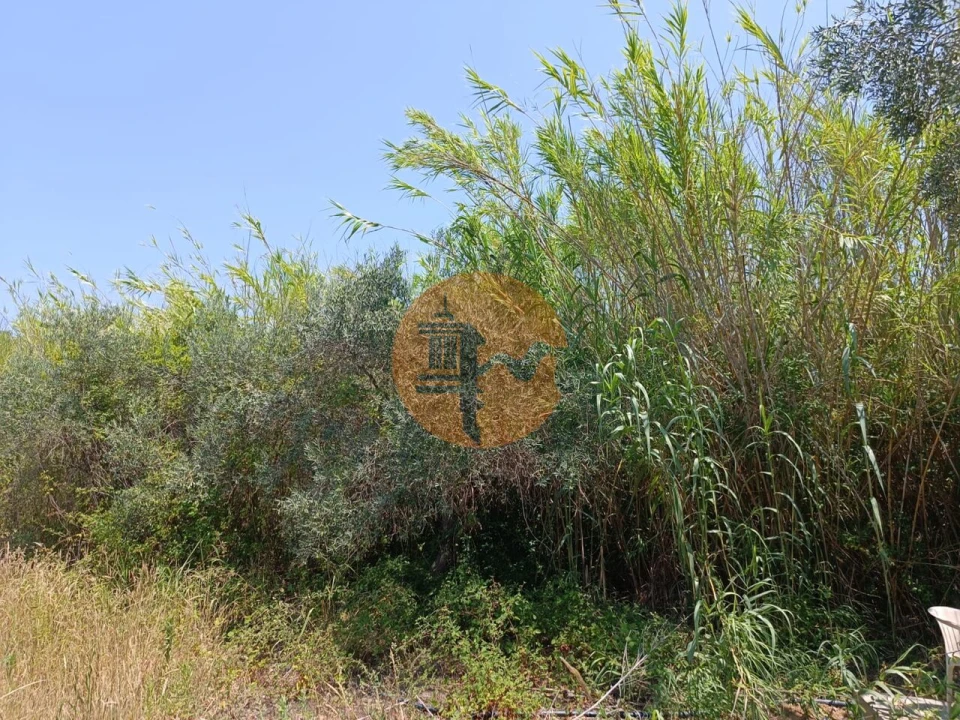 Terreno para Venda em Azinhal Foto 16