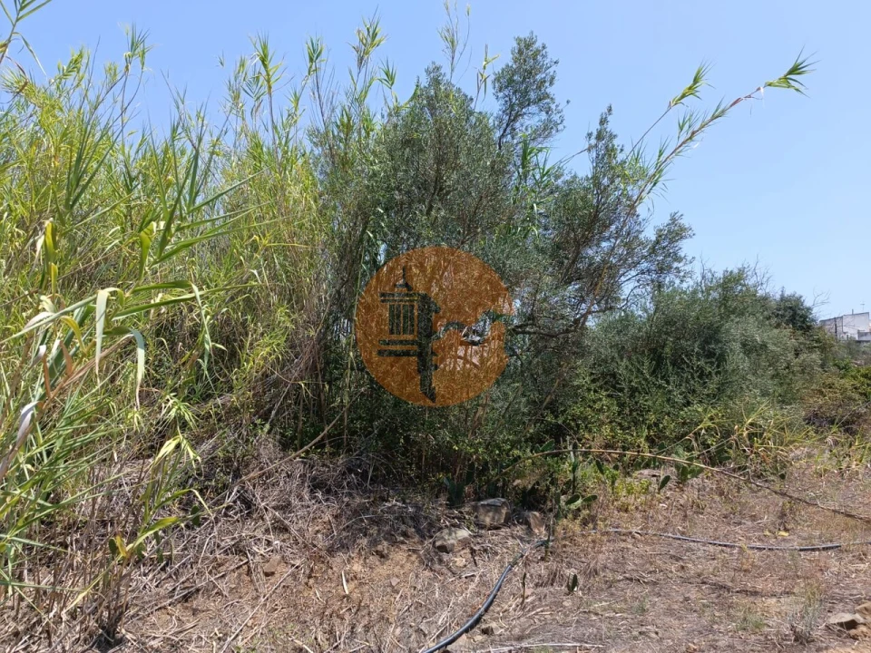 Terreno para Venda em Azinhal Foto 19