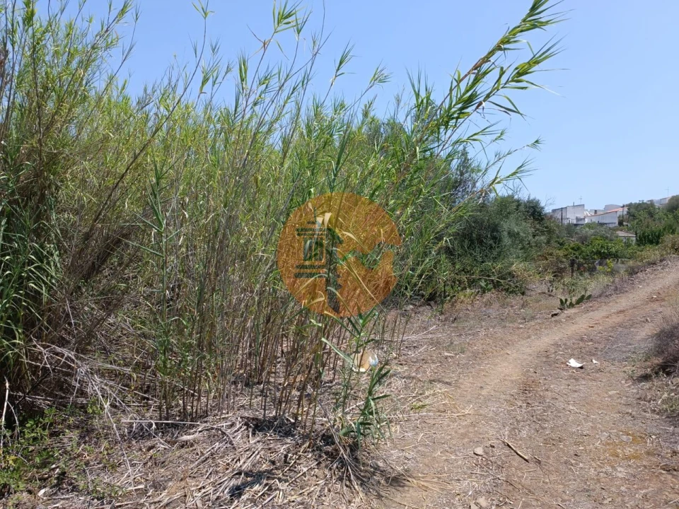 Terreno para Venda em Azinhal Foto 20