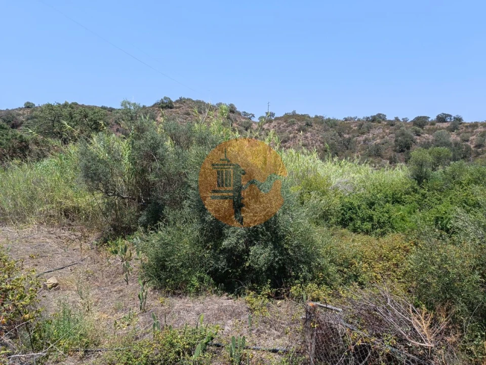 Terreno para Venda em Azinhal Foto 21