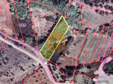 Terreno para Venda em Azinhal