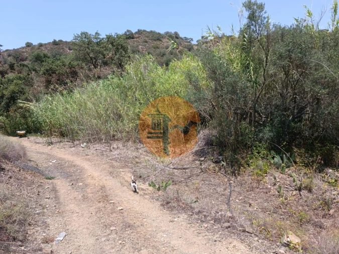 Terreno para Venda em Azinhal Foto 3