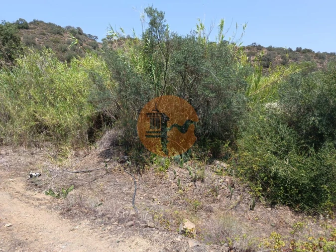 Terreno para Venda em Azinhal Foto 5