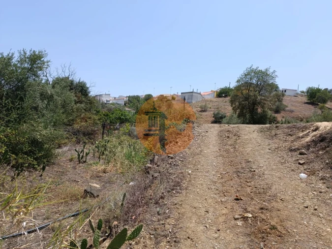 Terreno para Venda em Azinhal Foto 12
