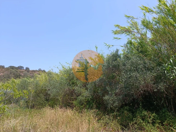 Terreno para Venda em Azinhal Foto 13