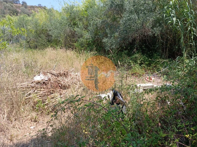 Terreno para Venda em Azinhal Foto 17