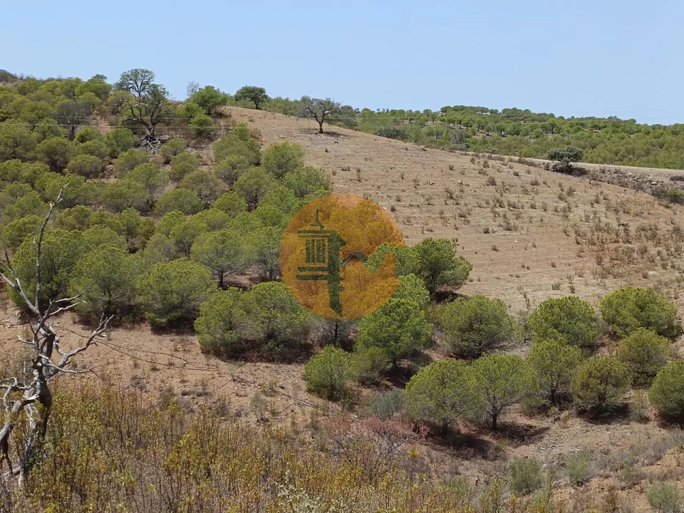 Terreno para Venda em Azinhal Foto 4