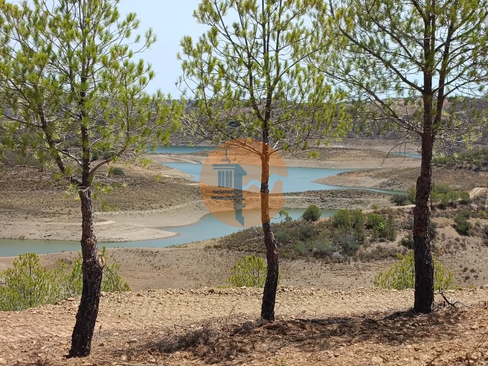 Terreno para Venda em Azinhal Foto 1