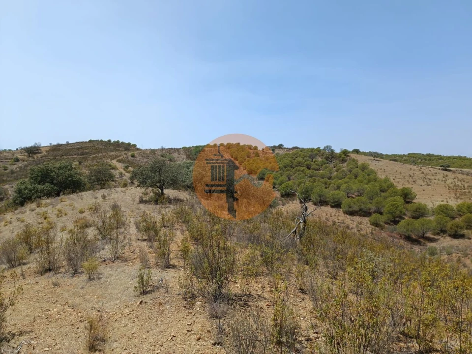 Terreno para Venda em Azinhal Foto 10