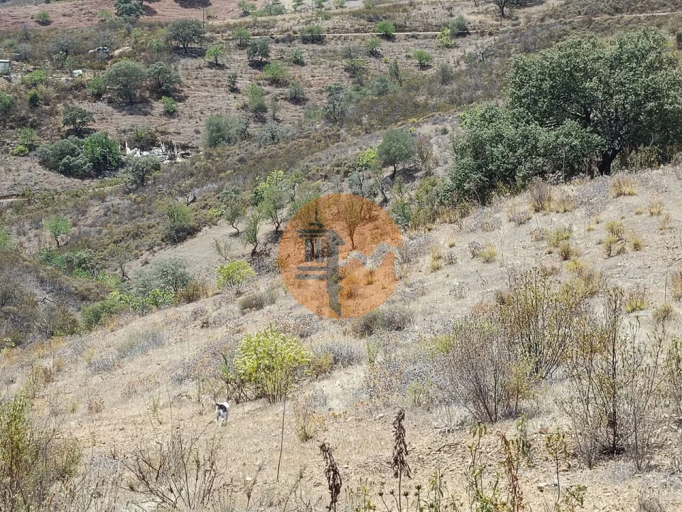 Terreno para Venda em Azinhal Foto 12
