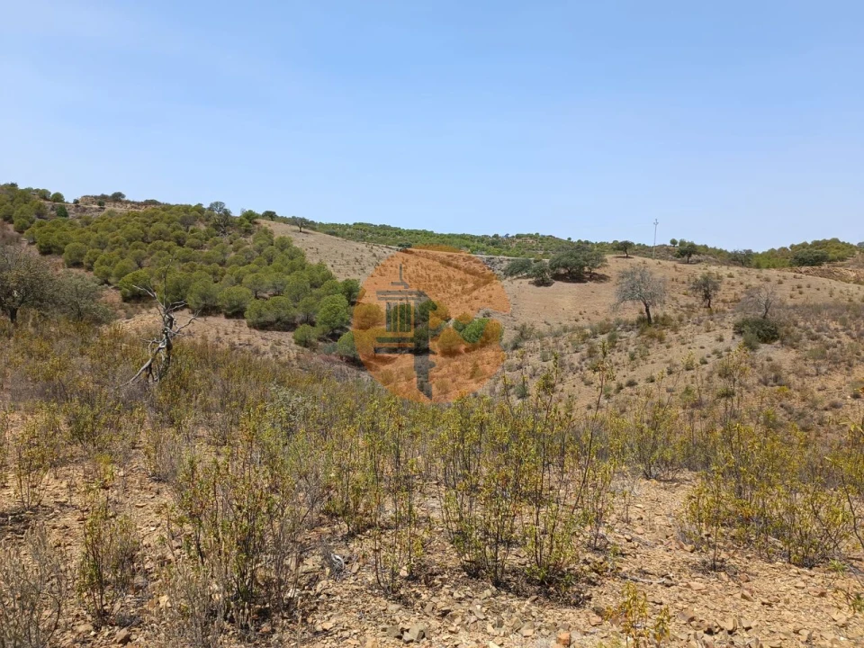 Terreno para Venda em Azinhal Foto 13