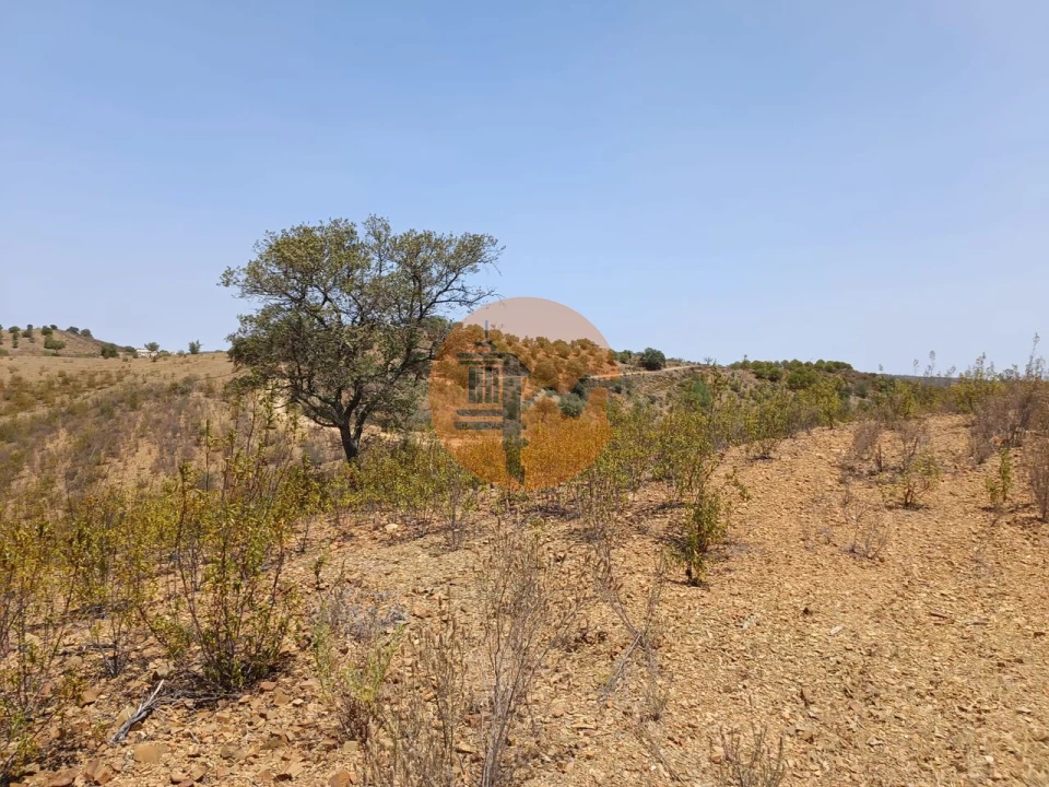 Terreno para Venda em Azinhal Foto 15