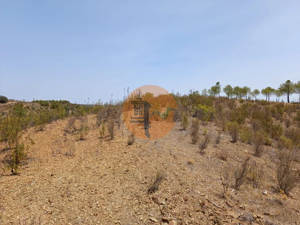 Terreno para Venda em Azinhal Foto 16