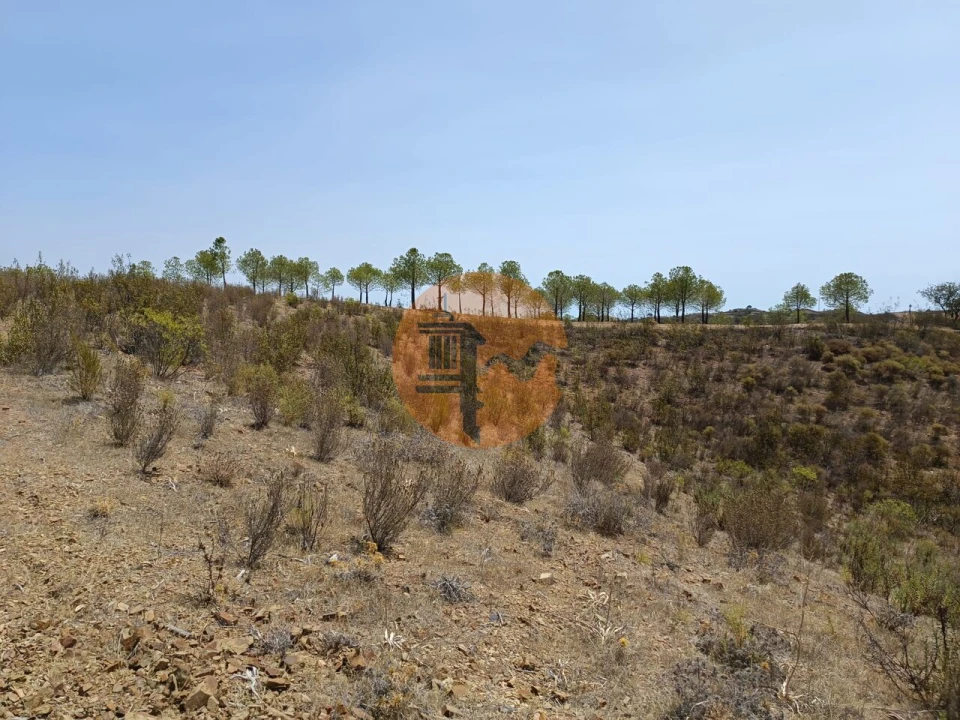 Terreno para Venda em Azinhal Foto 17