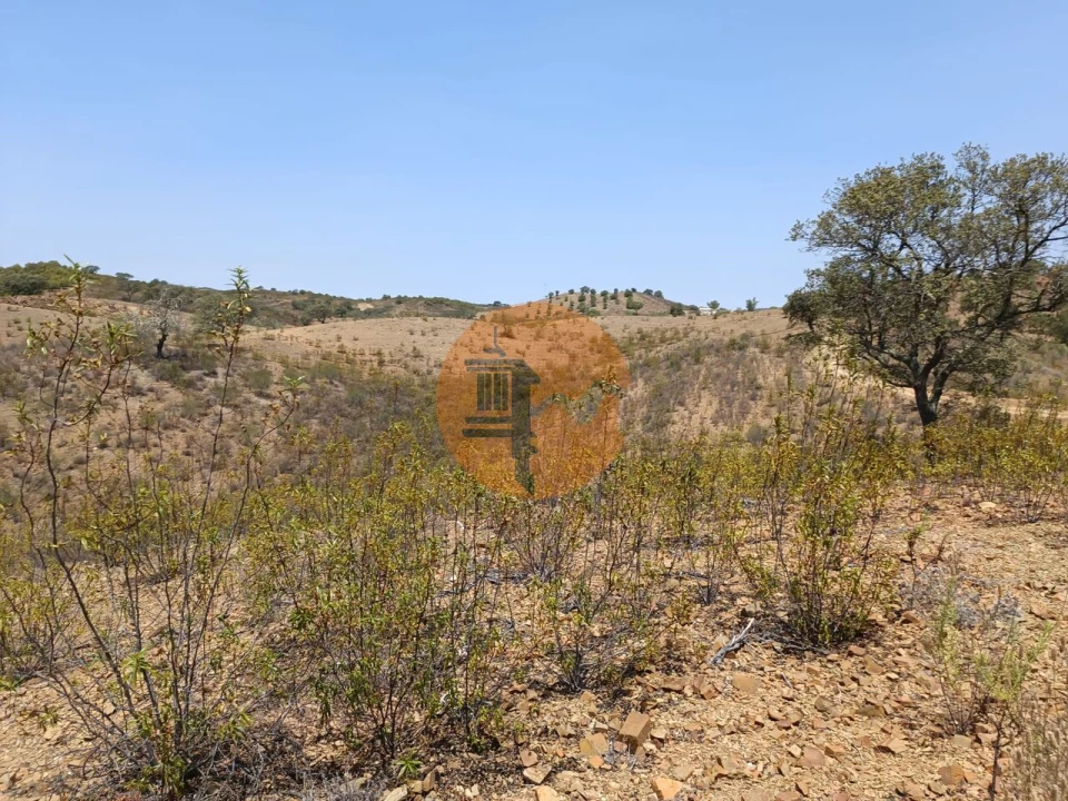 Terreno para Venda em Azinhal Foto 19