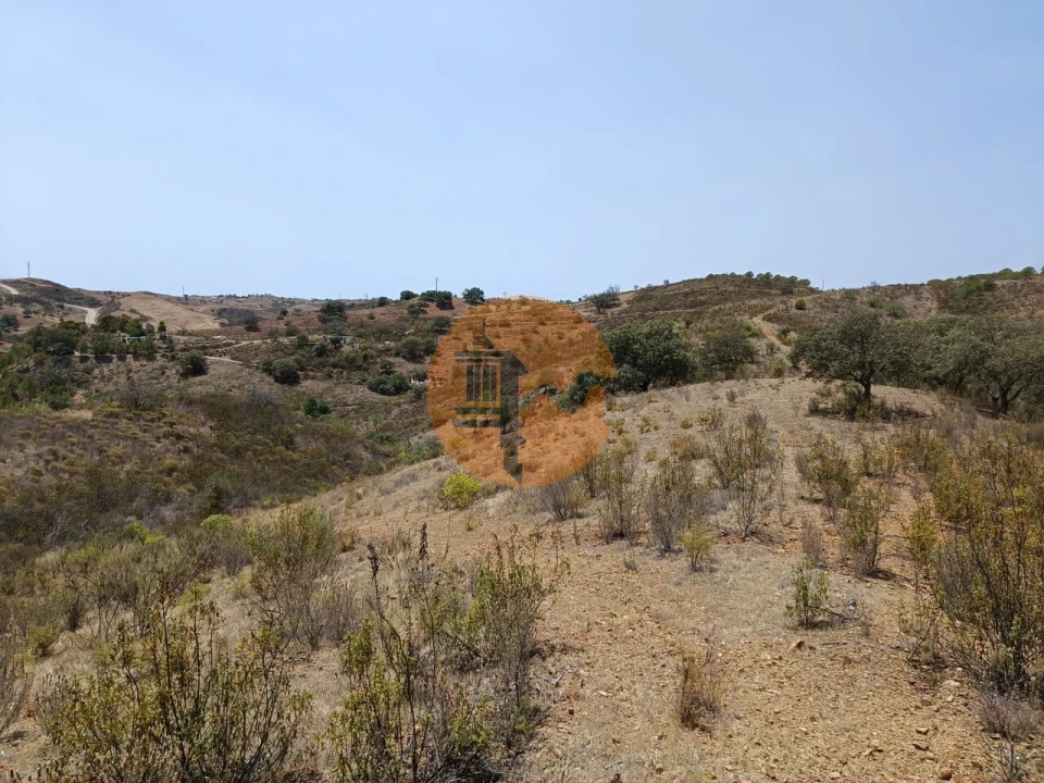 Terreno para Venda em Azinhal Foto 20