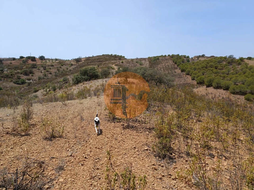 Terreno para Venda em Azinhal Foto 21