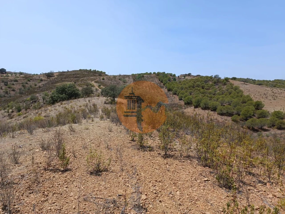 Terreno para Venda em Azinhal Foto 27