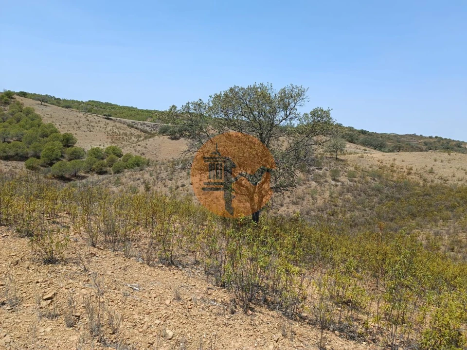 Terreno para Venda em Azinhal Foto 28