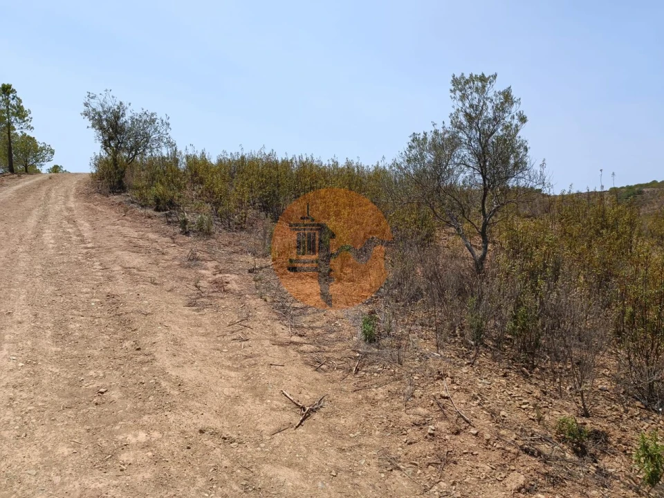 Terreno para Venda em Azinhal Foto 30