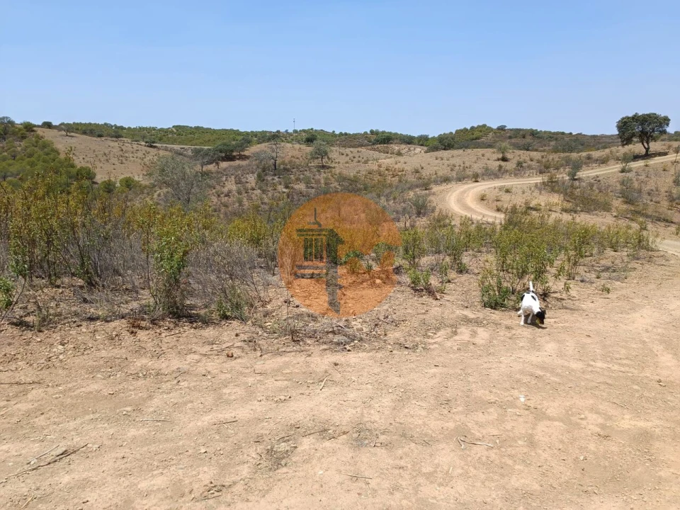 Terreno para Venda em Azinhal Foto 31