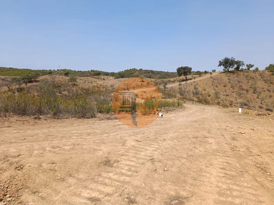 Terreno para Venda em Azinhal Foto 32