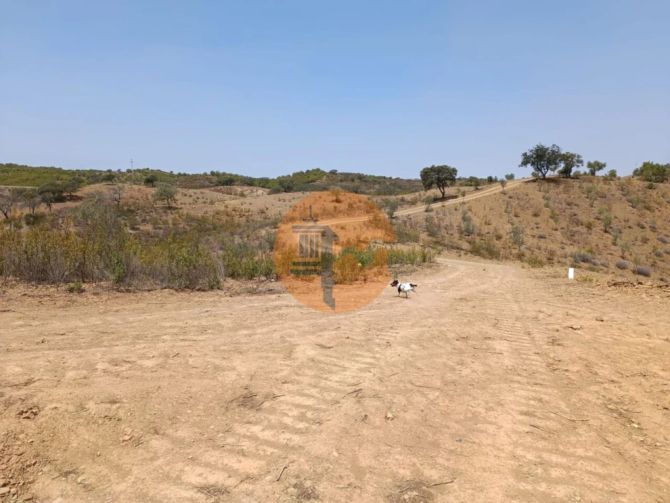 Terreno para Venda em Azinhal Foto 33