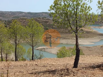 Terreno para Venda em Azinhal