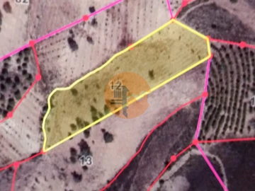Terreno para Venda em Azinhal