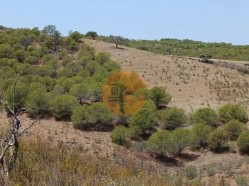 Terreno para Venda em Azinhal