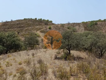 Terreno para Venda em Azinhal