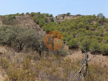 Terreno para Venda em Azinhal