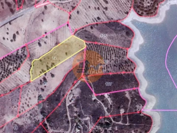 Terreno para Venda em Azinhal