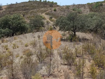 Terreno para Venda em Azinhal