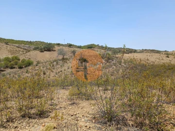 Terreno para Venda em Azinhal
