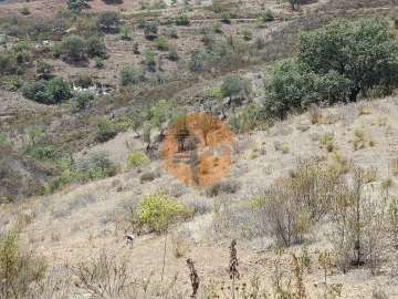 Terreno para Venda em Azinhal