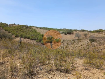 Terreno para Venda em Azinhal