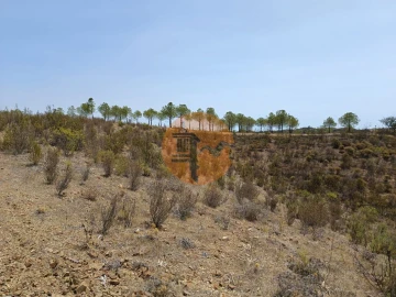 Terreno para Venda em Azinhal
