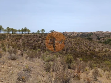 Terreno para Venda em Azinhal