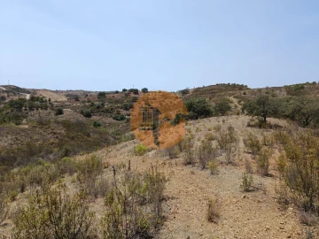 Terreno para Venda em Azinhal
