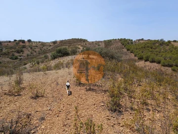 Terreno para Venda em Azinhal