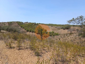 Terreno para Venda em Azinhal